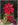 Botanischer Garten
