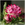 Botanischer Garten